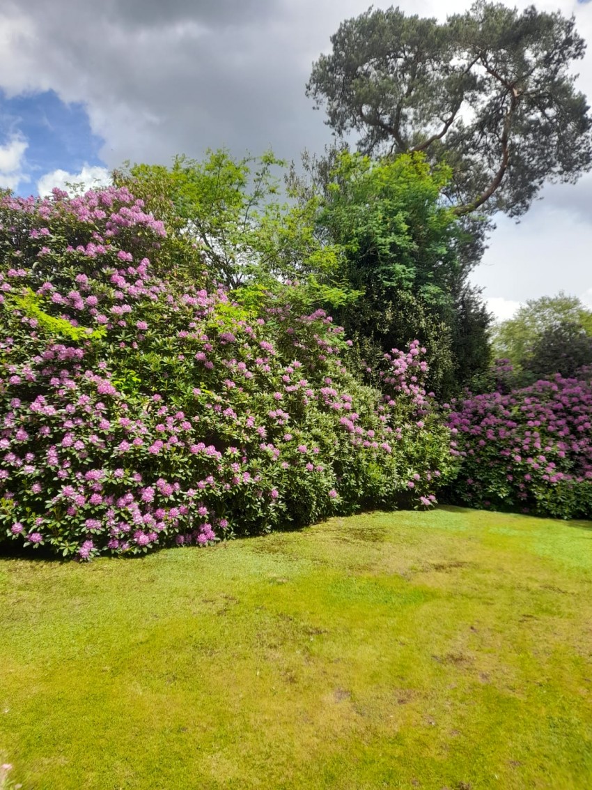 Images for Lower Wokingham Road, Crowthorne, RG45 6DA